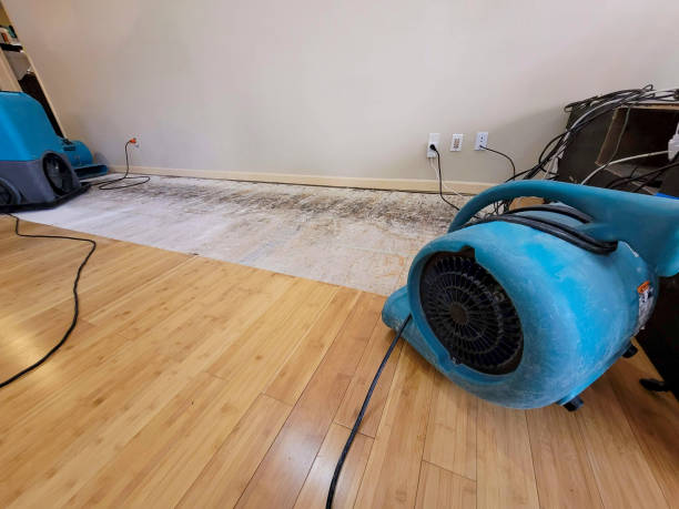 Professional Water Damage Repair technician working in Olema, CA